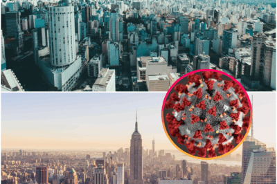 The Evolution of Suburban AmeCommercial Real Estate and the Post-COVID Shiftrica