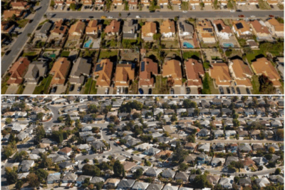 Why Real Estate Remains the Safest Investment