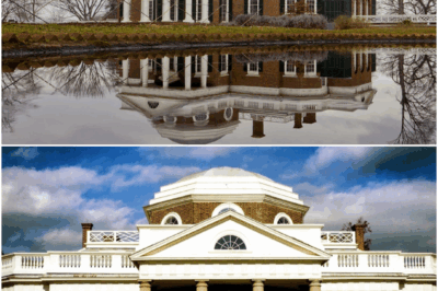 Architecture as a Reflection of Society