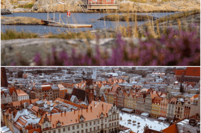 The Hidden Power of Interior Design in Real Estate