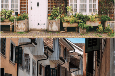 How Climate Change Is Shaping Future Cities